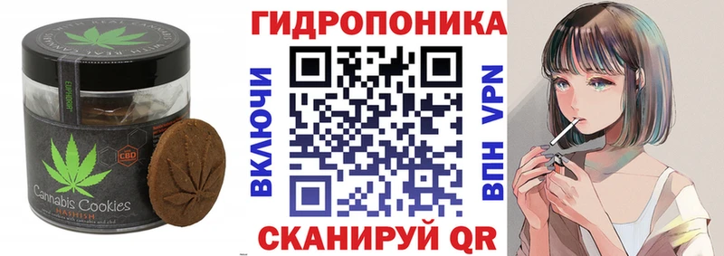 Canna-Cookies марихуана  Купить  Куртамыш 