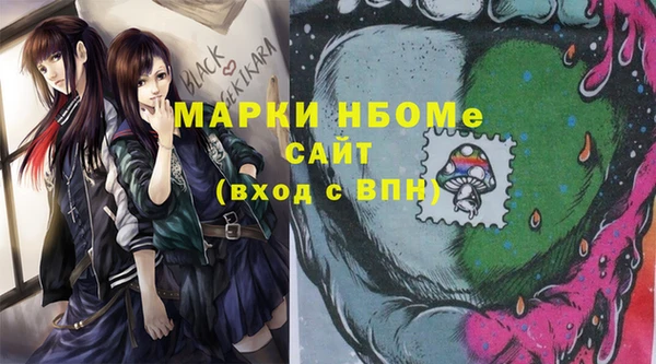 тгк Каменка