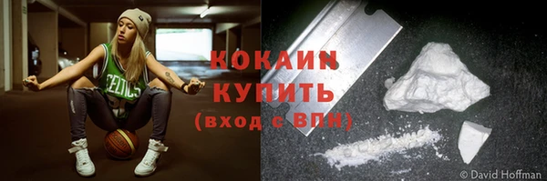 тгк Каменка