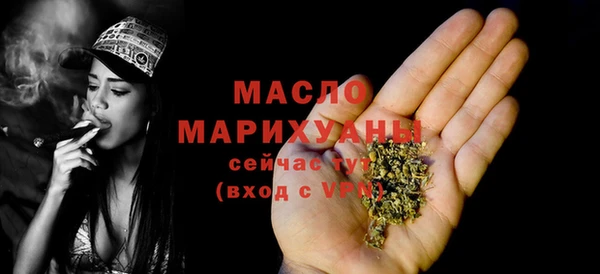 тгк Каменка