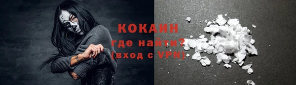 тгк Каменка