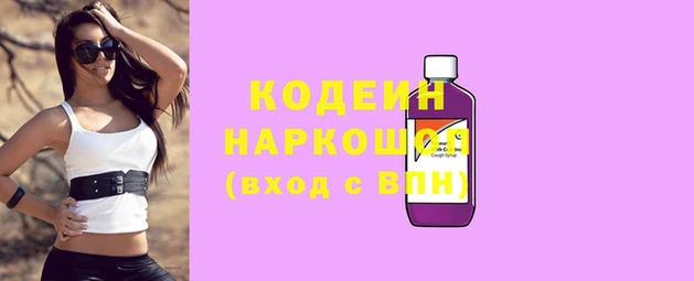 apvp Каменногорск