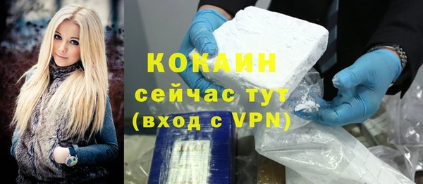 тгк Каменка