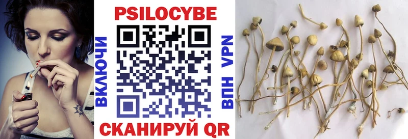 Галлюциногенные грибы MAGIC MUSHROOMS  Купить где  Куртамыш 
